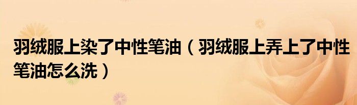 羽絨服上染了中性筆油（羽絨服上弄上了中性筆油怎么洗）