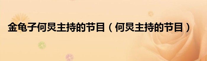 金龜子何炅主持的節(jié)目（何炅主持的節(jié)目）