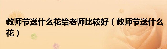 教師節(jié)送什么花給老師比較好（教師節(jié)送什么花）