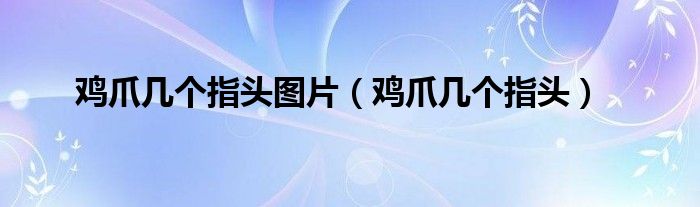 雞爪幾個指頭圖片（雞爪幾個指頭）