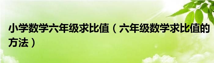 小學(xué)數(shù)學(xué)六年級求比值（六年級數(shù)學(xué)求比值的方法）