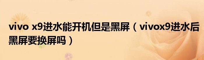vivo x9進(jìn)水能開(kāi)機(jī)但是黑屏（vivox9進(jìn)水后黑屏要換屏嗎）