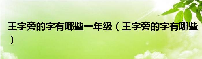 王字旁的字有哪些一年級（王字旁的字有哪些）