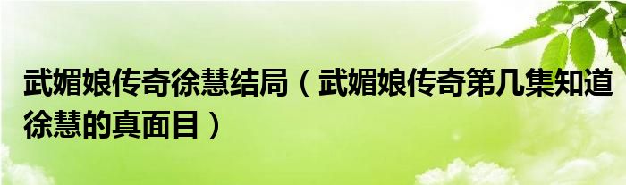 武媚娘傳奇徐慧結(jié)局（武媚娘傳奇第幾集知道徐慧的真面目）