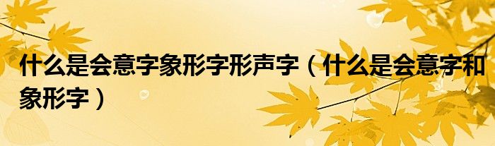 什么是會意字象形字形聲字（什么是會意字和象形字）