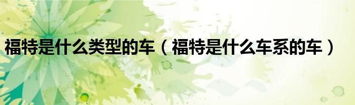 福特是什么類型的車（福特是什么車系的車）