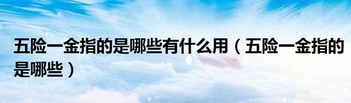 五險(xiǎn)一金指的是哪些有什么用（五險(xiǎn)一金指的是哪些）