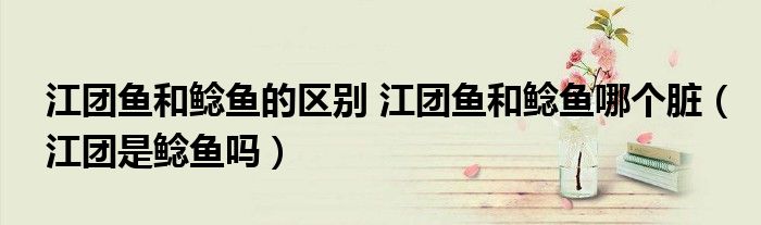 江團魚和鯰魚的區(qū)別 江團魚和鯰魚哪個臟（江團是鯰魚嗎）