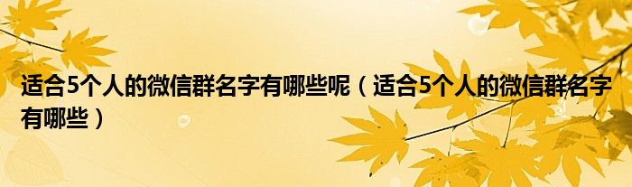 適合5個人的微信群名字有哪些呢（適合5個人的微信群名字有哪些）