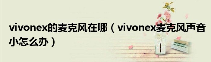 vivonex的麥克風在哪（vivonex麥克風聲音小怎么辦）