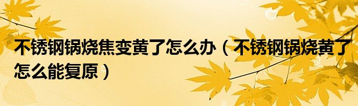 不銹鋼鍋燒焦變黃了怎么辦（不銹鋼鍋燒黃了怎么能復(fù)原）