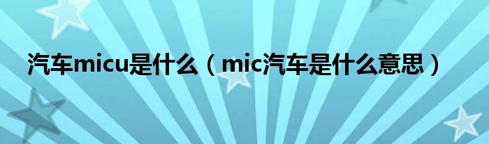 汽車micu是什么（mic汽車是什么意思）