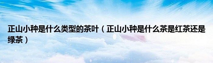 正山小種是什么類型的茶葉（正山小種是什么茶是紅茶還是綠茶）