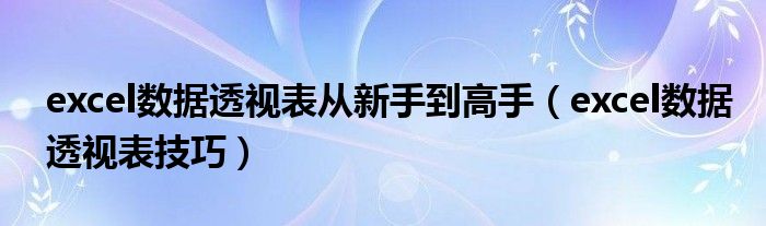 excel數(shù)據(jù)透視表從新手到高手（excel數(shù)據(jù)透視表技巧）