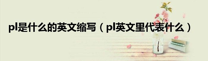 pl是什么的英文縮寫（pl英文里代表什么）