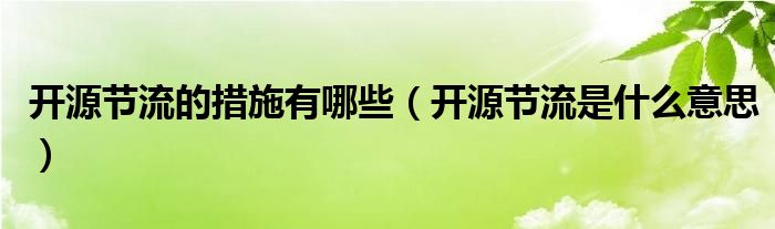 開源節(jié)流的措施有哪些（開源節(jié)流是什么意思）