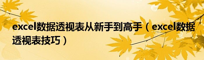 excel數(shù)據(jù)透視表從新手到高手（excel數(shù)據(jù)透視表技巧）