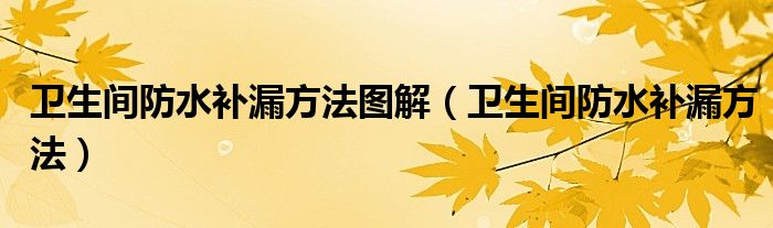 衛(wèi)生間防水補(bǔ)漏方法圖解（衛(wèi)生間防水補(bǔ)漏方法）