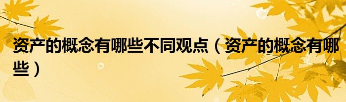 資產(chǎn)的概念有哪些不同觀點（資產(chǎn)的概念有哪些）