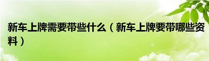 新車上牌需要帶些什么（新車上牌要帶哪些資料）