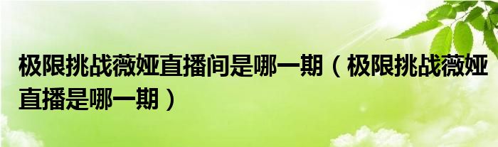 極限挑戰(zhàn)薇婭直播間是哪一期（極限挑戰(zhàn)薇婭直播是哪一期）