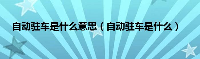 自動駐車是什么意思（自動駐車是什么）