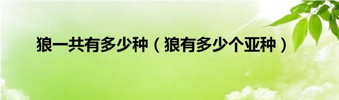 狼一共有多少種（狼有多少個亞種）