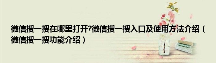 微信搜一搜在哪里打開?微信搜一搜入口及使用方法介紹（微信搜一搜功能介紹）