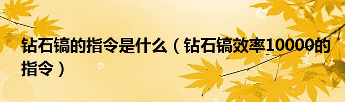 鉆石鎬的指令是什么（鉆石鎬效率10000的指令）