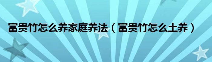 富貴竹怎么養(yǎng)家庭養(yǎng)法（富貴竹怎么土養(yǎng)）