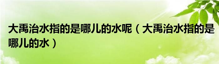 大禹治水指的是哪兒的水呢（大禹治水指的是哪兒的水）
