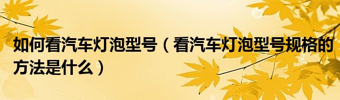 如何看汽車燈泡型號（看汽車燈泡型號規(guī)格的方法是什么）