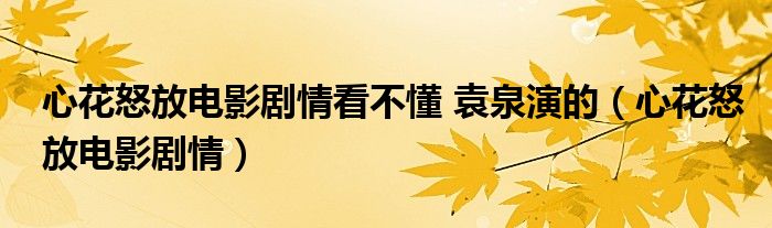 心花怒放電影劇情看不懂 袁泉演的（心花怒放電影劇情）