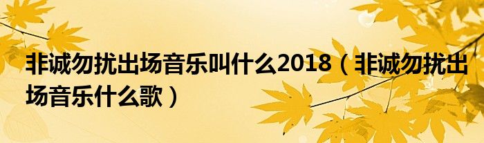 非誠勿擾出場音樂叫什么2018（非誠勿擾出場音樂什么歌）