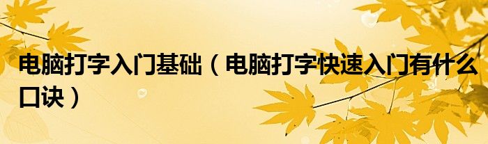 電腦打字入門基礎(chǔ)（電腦打字快速入門有什么口訣）