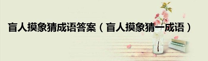 盲人摸象猜成語答案（盲人摸象猜一成語）