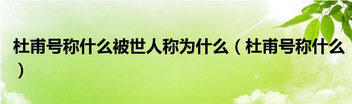 杜甫號稱什么被世人稱為什么（杜甫號稱什么）