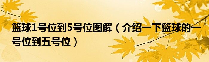 籃球1號(hào)位到5號(hào)位圖解（介紹一下籃球的一號(hào)位到五號(hào)位）