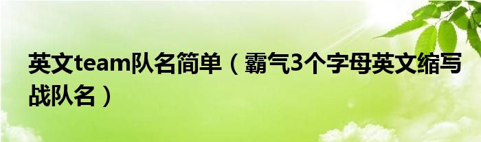 英文team隊名簡單（霸氣3個字母英文縮寫戰(zhàn)隊名）