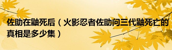 佐助在鼬死后（火影忍者佐助問三代鼬死亡的真相是多少集）