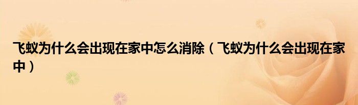 飛蟻為什么會(huì)出現(xiàn)在家中怎么消除（飛蟻為什么會(huì)出現(xiàn)在家中）