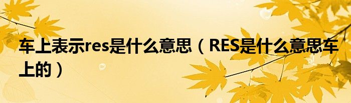 車上表示res是什么意思（RES是什么意思車上的）