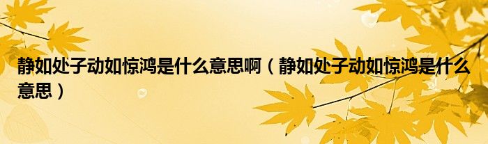 靜如處子動如驚鴻是什么意思?。o如處子動如驚鴻是什么意思）