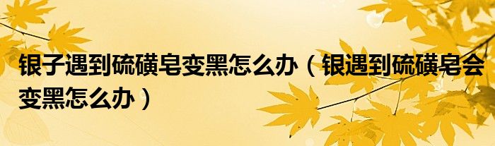 銀子遇到硫磺皂變黑怎么辦（銀遇到硫磺皂會(huì)變黑怎么辦）