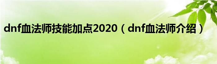 dnf血法師技能加點(diǎn)2020（dnf血法師介紹）