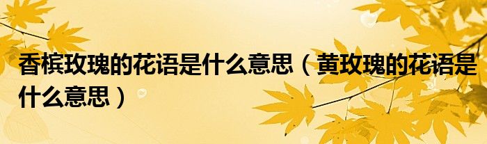 香檳玫瑰的花語是什么意思（黃玫瑰的花語是什么意思）