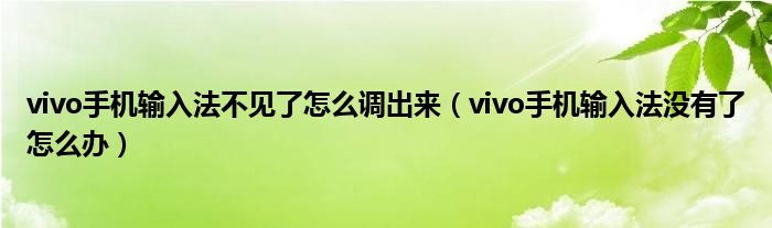 vivo手機輸入法不見了怎么調(diào)出來（vivo手機輸入法沒有了怎么辦）