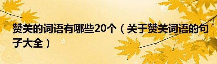 贊美的詞語有哪些20個（關(guān)于贊美詞語的句子大全）