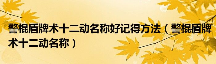 警棍盾牌術(shù)十二動(dòng)名稱好記得方法（警棍盾牌術(shù)十二動(dòng)名稱）