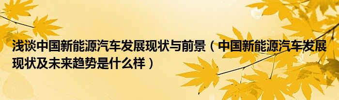 淺談中國新能源汽車發(fā)展現(xiàn)狀與前景（中國新能源汽車發(fā)展現(xiàn)狀及未來趨勢是什么樣）